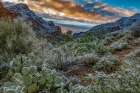 Arizona-Tucson Mountain Park Art Print
